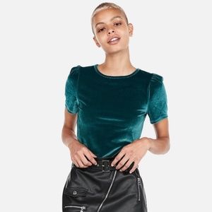 NWT Express Velvet Puff Sleeve Top